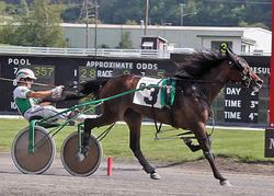 Geri Schwarz Photo - Princessofhollywds 1:59:3 fastest of the 4 NYSS late closer trots at Monticello Raceway (CLICK TO VIEW)